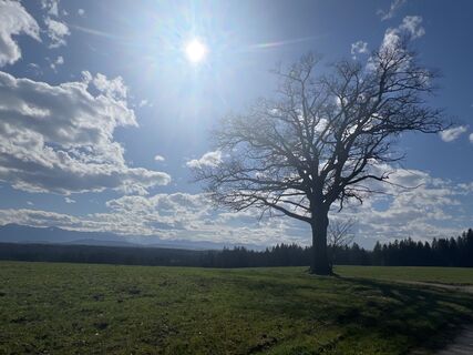 Foto von Anita Maigler entlang der Tour