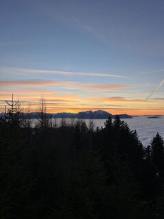 Fotografija s spletne strani Aurelian Böhler na poti