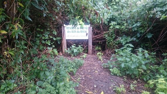 Reserve Iles du Rhin