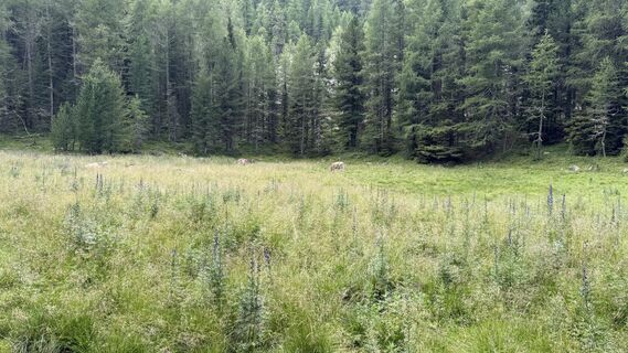 Foto von Daniel Härtel entlang der Tour