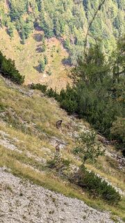 Foto von Daniel Dietl entlang der Tour