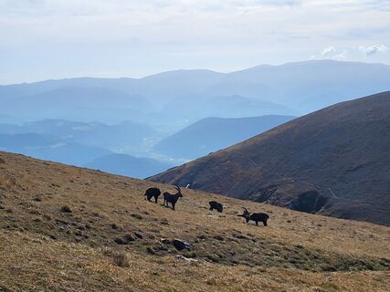 Photo de Claudia Maier 2 le long du parcours
