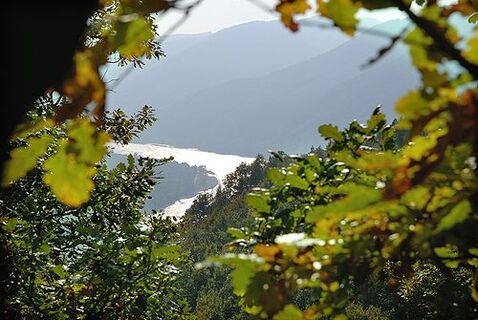 Michaelerberg, Welterbesteig