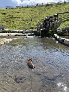 Fotografia z Koen De Wit na trase
