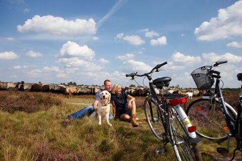 Radlerpause inmitten der Lüneburger Heide