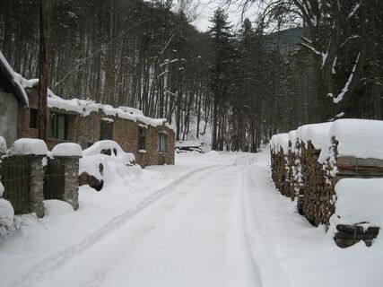 Schneeschuhwanderung auf's Hocheck