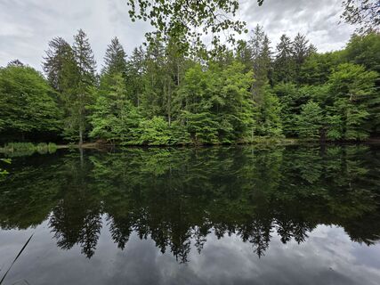 Foto von Wandertherapie entlang der Tour