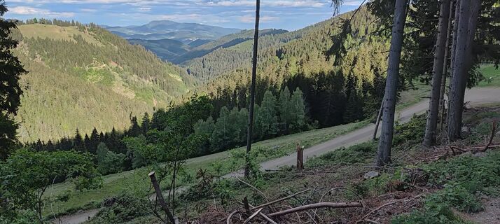 Fotografija s spletne strani wolfkl na poti