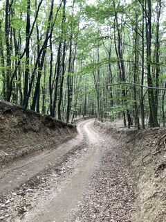 Photo de Hajni Obernyik le long du parcours