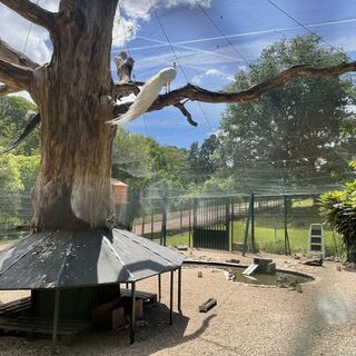 (c) Ville du Creusot_Parc animalier et volière 1