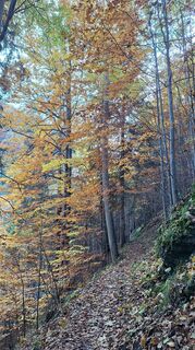 Fotografia z Susi Puhl na trase