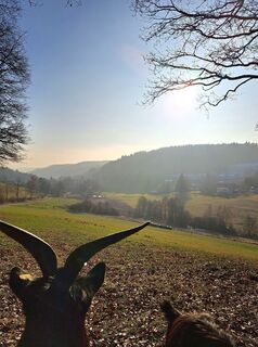 Foto de Schwartzhox a lo largo del recorrido