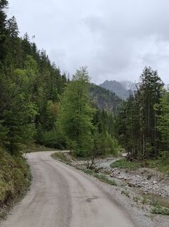 Fotografija s spletne strani Mukine Mukine na poti