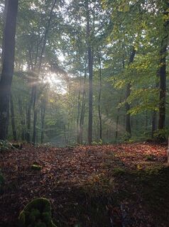 Fotó a Knappmargit honlapról a túra során