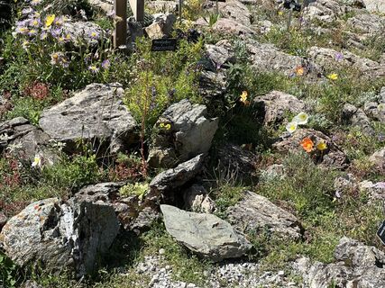 Fotografia z Roswitha Zeiller na trase