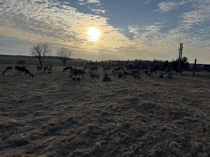 Fotografie z Wolfgang Lehner na trase