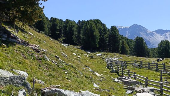 Foto von Maurizio Dell'acqua entlang der Tour