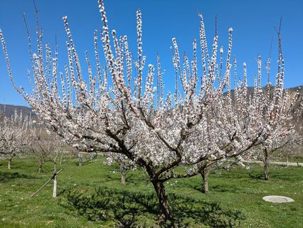 Fotografia z Edero na trase