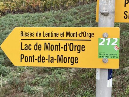 Photo de Heinrich Mocellini le long du parcours