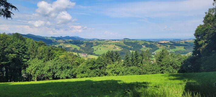 Foto de silkerschi a lo largo del recorrido