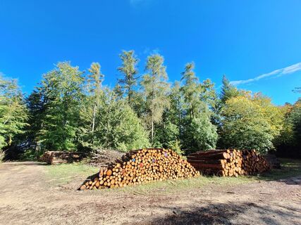 Foto von Hermann E. entlang der Tour