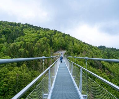 Hängebrücke Blackforestline