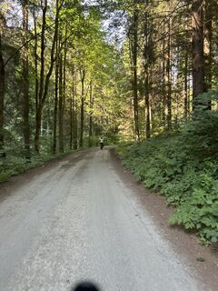 Foto de Slawo Mir a lo largo del recorrido