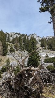 Fotografia z W.K. na trase