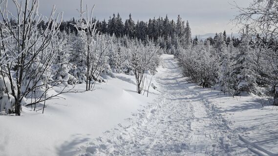 Fotografia z prager64 na trase