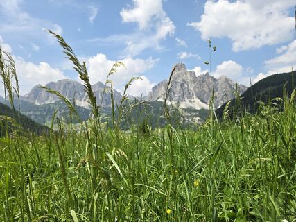 Photo de Gerti Bärnthaler le long du parcours