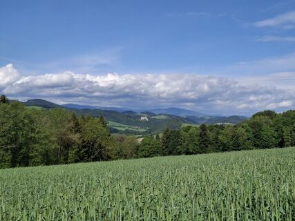 Foto von Markus Faustbeck 1 entlang der Tour