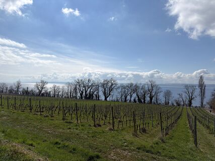 Foto von Lars Klein entlang der Tour