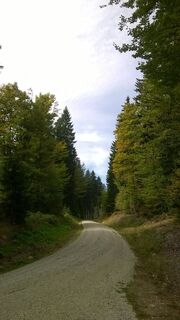 Forstraße