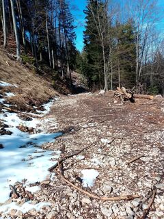 Zdjęcie z Lisa Pimminger 1 wzdłuż trasy