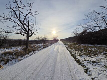 Photo de Thomas Hillinger le long du parcours