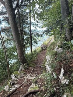 Fotografija s spletne strani Marco Rodzynek 2 na poti