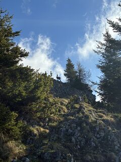 Foto von ChasquiRunner entlang der Tour