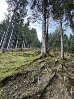 Foto de Denise Miller a lo largo del recorrido