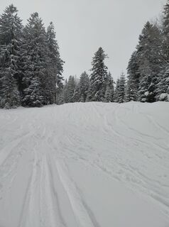 Schneise der Spielmoosabfahrt
