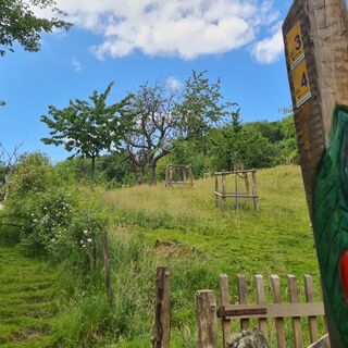 Kirschenweg (Go 3) & Wanderung in der Rühler Schweiz (Go 4)