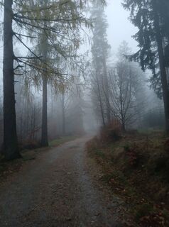 Photo de Daniel Kremiec le long du parcours