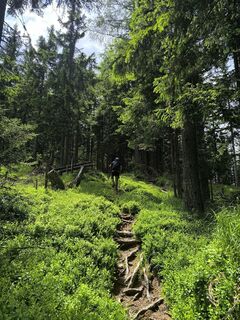 Фото с сайта Darija Forgač во время экскурсии