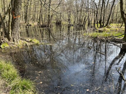 Foto de Robert Danylovskyi a lo largo del recorrido