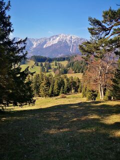 Foto de 3d63 ru^^n3r a lo largo del recorrido