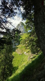 Fotografija s spletne strani Franz-Wilhelm Hefner na poti
