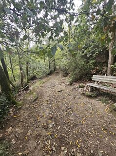 Photo de Eli le long du parcours