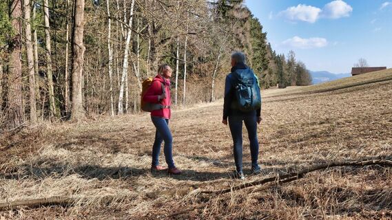 Die Wiese am Häuselberg ist erreicht