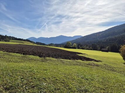 Photo de Ernesta le long du parcours