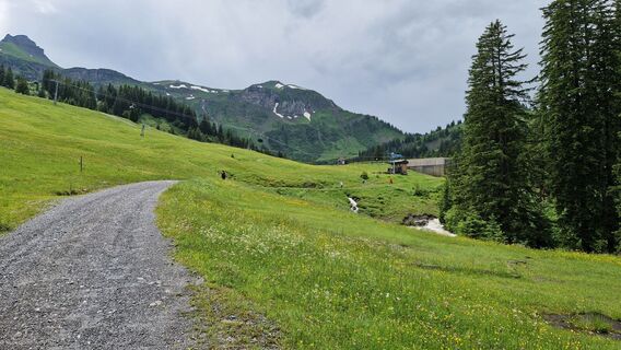 Photo de Gerrit van der Linde le long du parcours