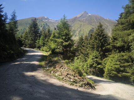 Foto de Karl-Heinz a lo largo del recorrido